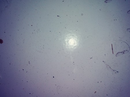 Small dots on a white surface.