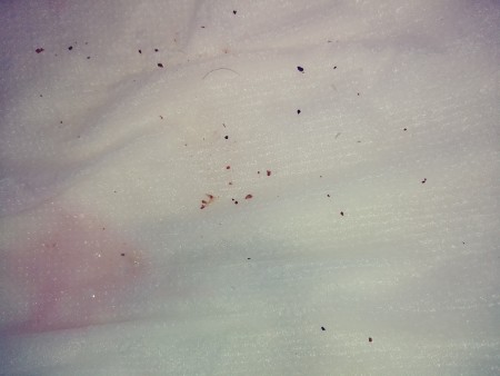 Small dots on a white surface.