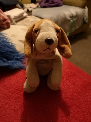 A small stuffed dog toy.