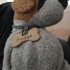 A old and worn stuffed dog named "Fudge".