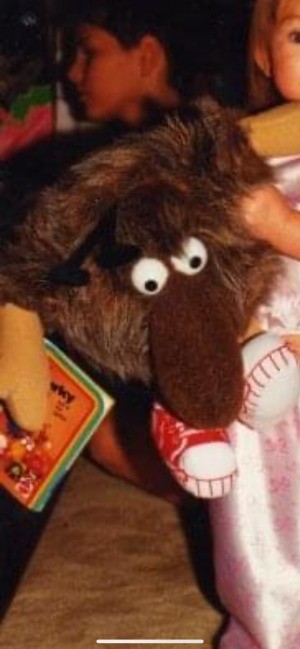 A brown stuffed animal.