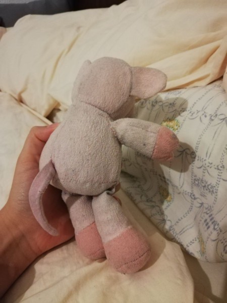 A small pink plush pig.