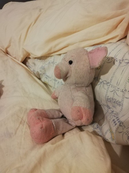 A small pink plush pig.