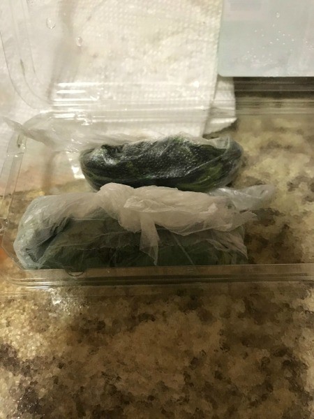 Basil leaves being removed from packaging.