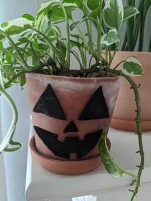 Halloween Pumpkin Planter - planter decorated and plant placed inside