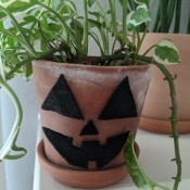 Halloween Pumpkin Planter - planter decorated and plant placed inside