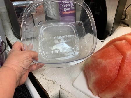 A plastic clamshell container to use for the watermelon slices.