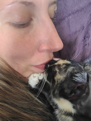 A cat nursing on a woman's lip.