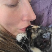 A cat nursing on a woman's lip.