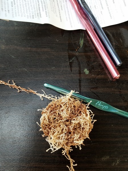 Scrubbers Using "Scrubby" Yarn - row 2