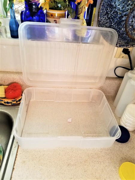 A plastic container with the lid open.