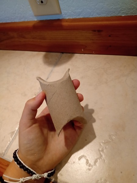 Cute Upcycled TP Tube Gift Boxes - bothe ends folded