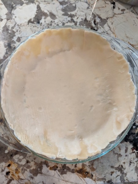 A pie plate lined with pie crust.