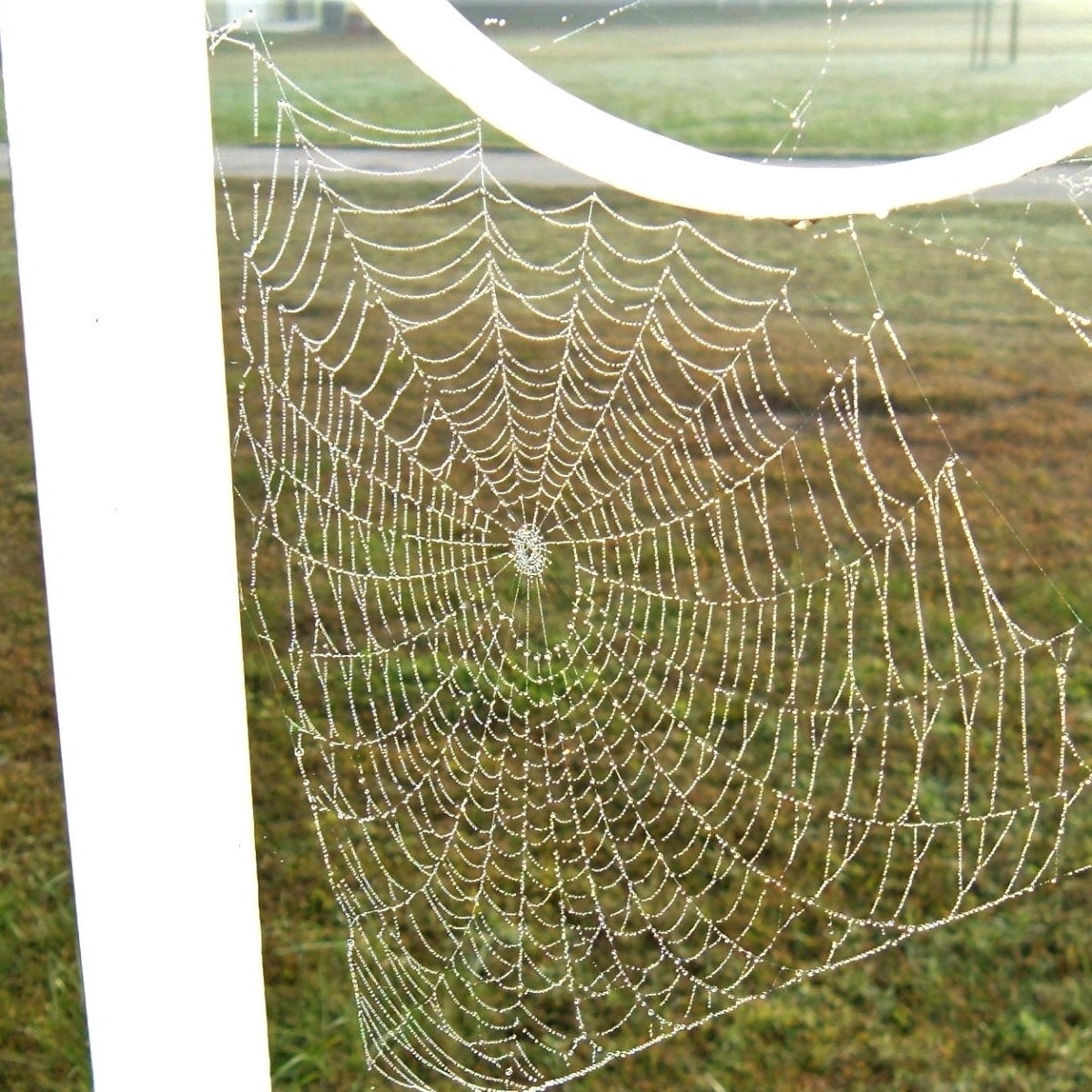 Spider Web Nets - Jammar MFG