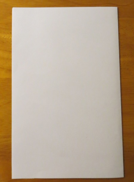 Fancy Paper Snowflake - folded in half