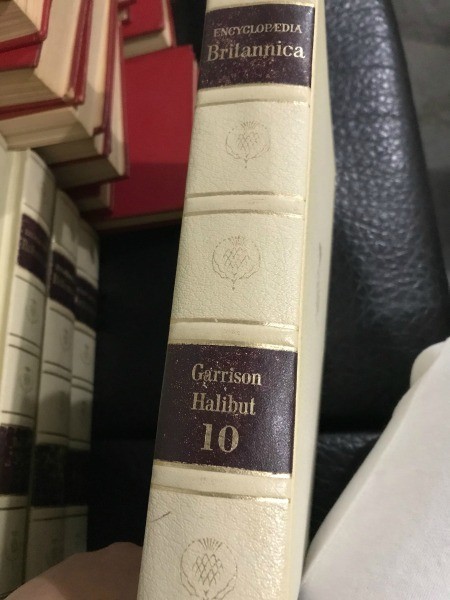 An Encyclopedia Britannica volume.