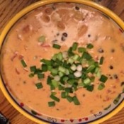 Warm Chicken Nacho Dip