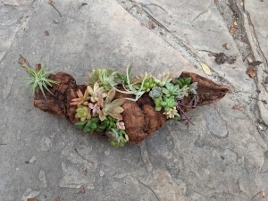 Succulent Driftwood Centerpiece - finished centerpiece planter lying on flagstone