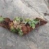 Succulent Driftwood Centerpiece - finished centerpiece planter lying on flagstone