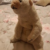 A stuffed polar bear.