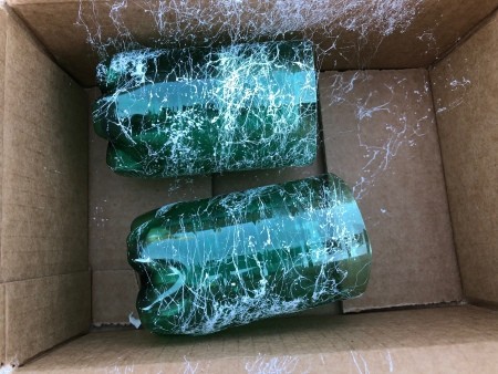 Upcycled Water Bottle Indoor Planter - lightly spray with paint