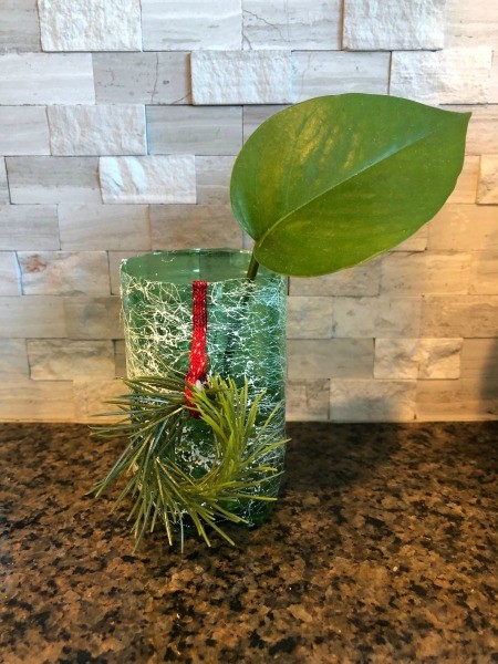 Upcycled Water Bottle Indoor Planter