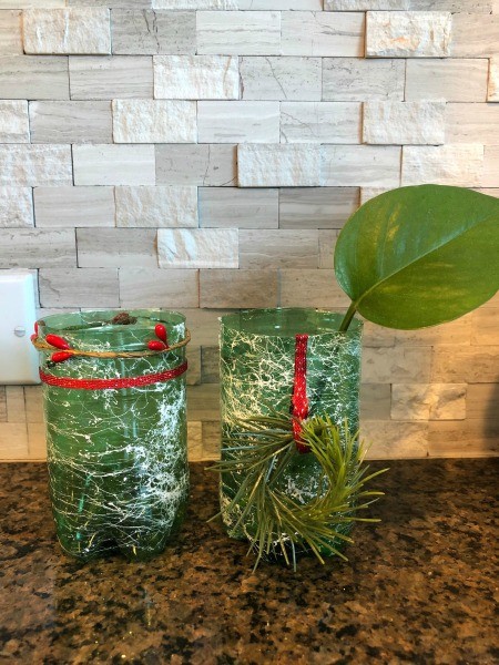 Upcycled Water Bottle Indoor Planter