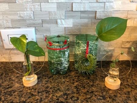 Upcycled Water Bottle Indoor Planter