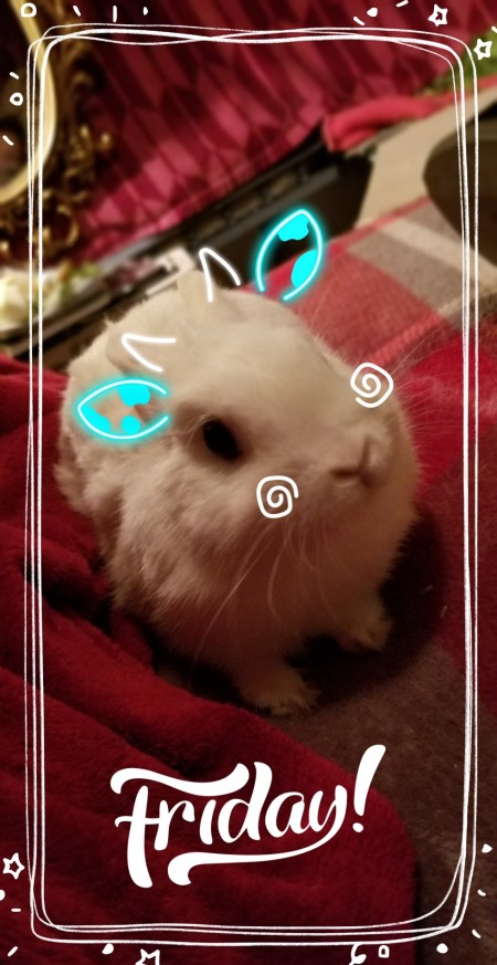 A bunny with added digital features.