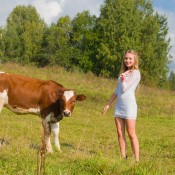 A girl near a cow in a grassy field.