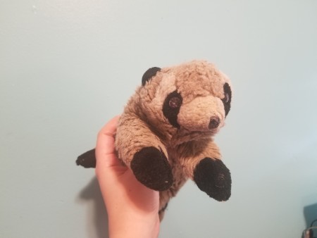 Identifying a Raccoon or Ferret Stuffed Toy?