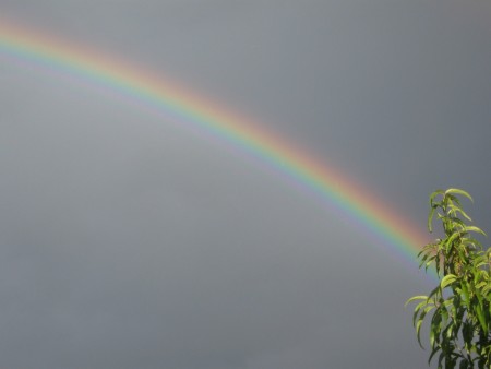 A rainbow in the sky.