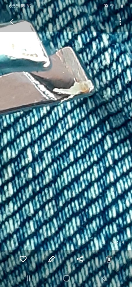 What Are These Bugs?