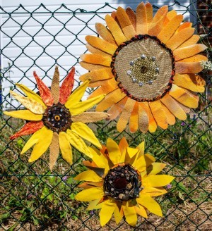 Handmade sunflowers hanging on a fence.