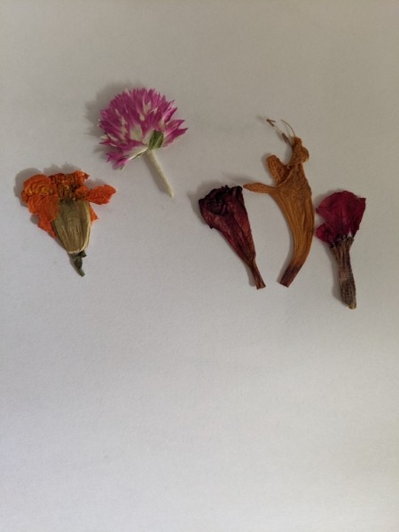 Dried flowers for decoration.