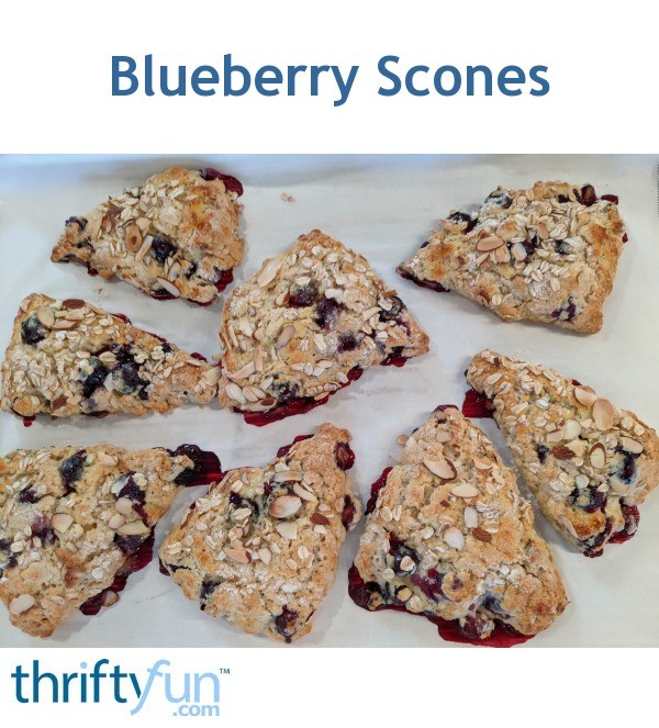 Blueberry Scones | ThriftyFun