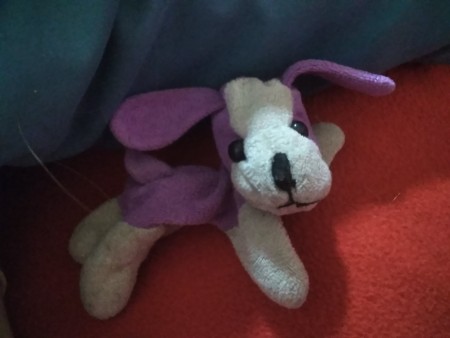 A small purple and white stuffed dog.