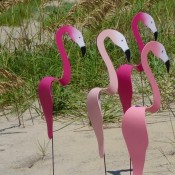 Flamingo decorations in sand.