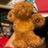 A stuffed brown bear.