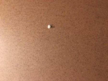 Shabby Chic Picture Frame Clock