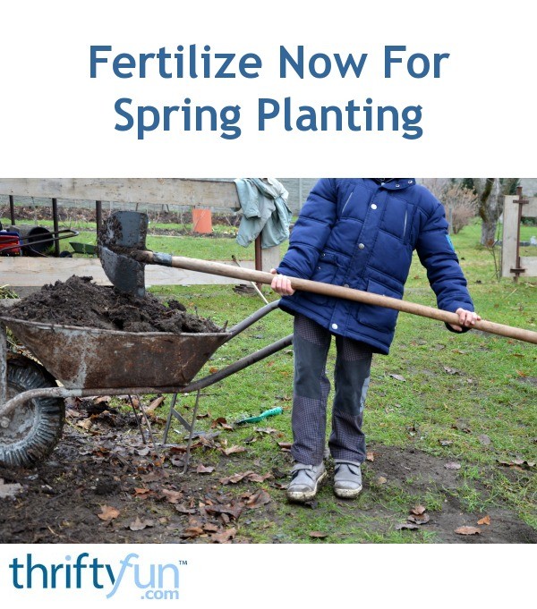 Fertilize Now For Spring Planting ThriftyFun