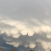 A sky full of clouds that resemble cotton balls.