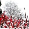Red leaves with snow.