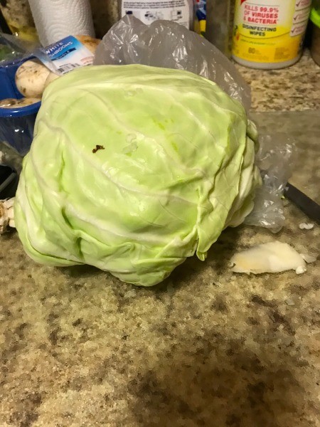 A head of cabbage.