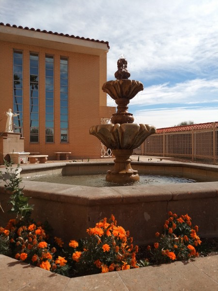 A fountain with orange flowers.