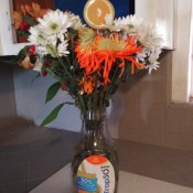 A plastic orange juice container being used as a vase.