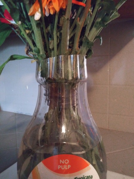 Orange Juice Bottle Vase
