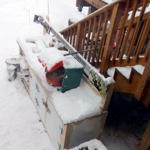 Birdseed inside a bin, keeping it out of the snow.