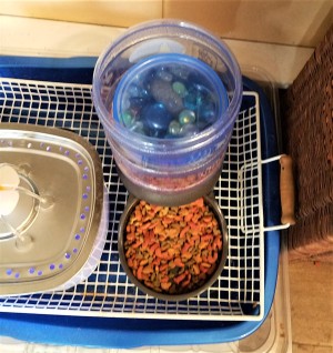 A container of glass marbles on top of cat food in a self feeder.