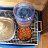 A container of glass marbles on top of cat food in a self feeder.